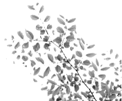 信仰告白 持田恵