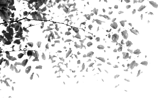 信仰告白 持田恵